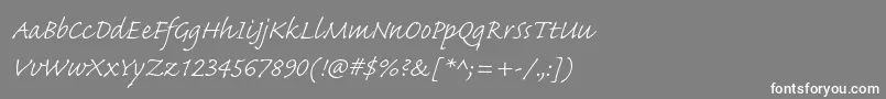 フォントCaflischscriptproLight – 灰色の背景に白い文字