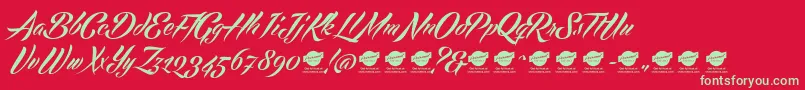 Echinosparkscript Font – Green Fonts on Red Background