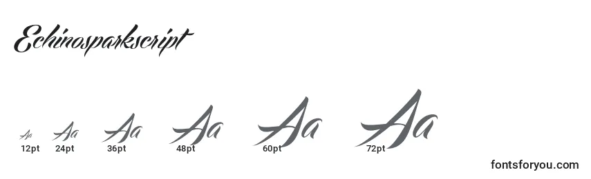 Echinosparkscript Font Sizes
