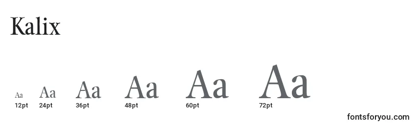 Размеры шрифта Kalix
