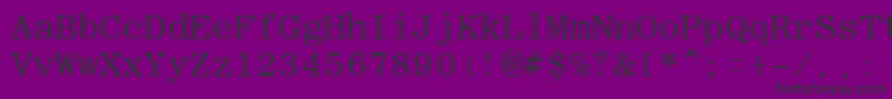 RomanfixedwidthRegular Font – Black Fonts on Purple Background