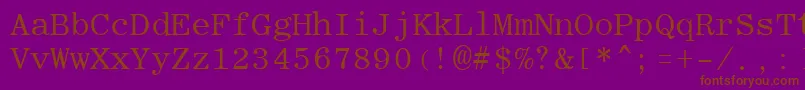 RomanfixedwidthRegular Font – Brown Fonts on Purple Background