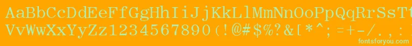 RomanfixedwidthRegular Font – Green Fonts on Orange Background