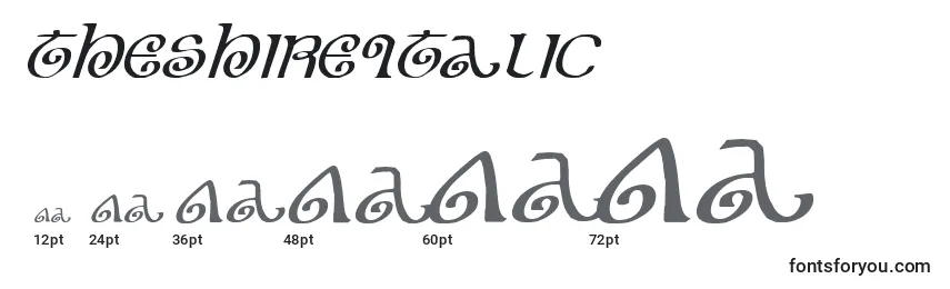 Размеры шрифта TheShireItalic