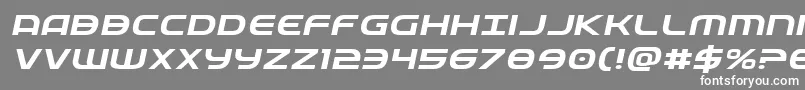 Fedserviceexpital Font – White Fonts on Gray Background