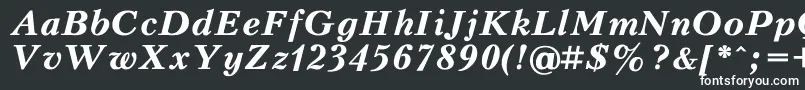 KudriashovBoldItalic Font – White Fonts