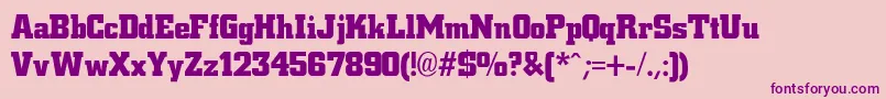 NiteBoldBold Font – Purple Fonts on Pink Background