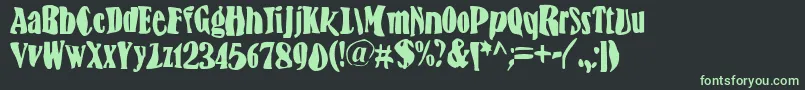 BnFisheye Font – Green Fonts on Black Background