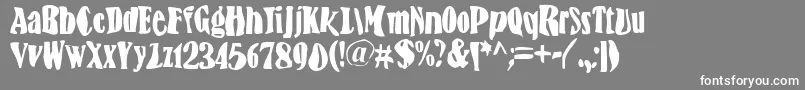 BnFisheye Font – White Fonts on Gray Background