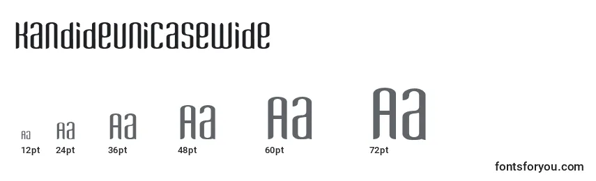 Размеры шрифта KandideUnicaseWide