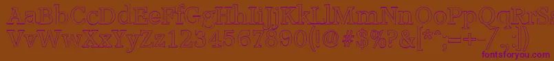 AccoladeoutlineRegular Font – Purple Fonts on Brown Background