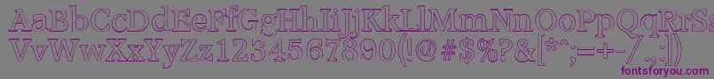 AccoladeoutlineRegular Font – Purple Fonts on Gray Background