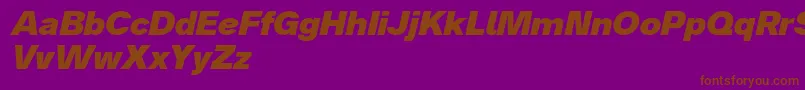 Analogue86blackoblique Font – Brown Fonts on Purple Background