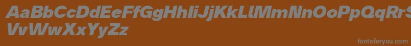 Czcionka Analogue86blackoblique – szare czcionki na brązowym tle