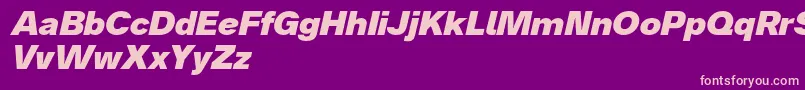 Analogue86blackoblique Font – Pink Fonts on Purple Background