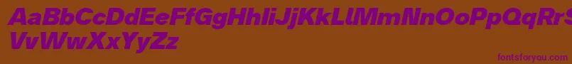 Analogue86blackoblique Font – Purple Fonts on Brown Background