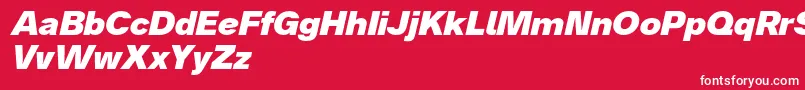 Analogue86blackoblique Font – White Fonts on Red Background