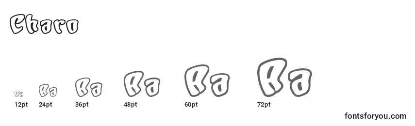 Размеры шрифта Charo