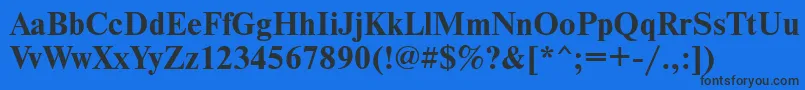 NewtonfttBold Font – Black Fonts on Blue Background