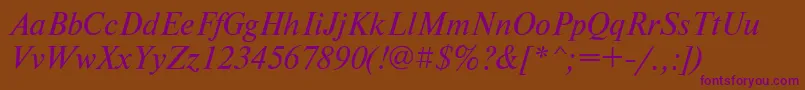 NewtontttItalic Font – Purple Fonts on Brown Background