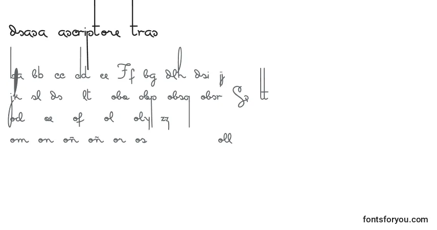 Шрифт Masanascript5extras – алфавит, цифры, специальные символы