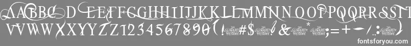 TheAlistaren Font – White Fonts on Gray Background