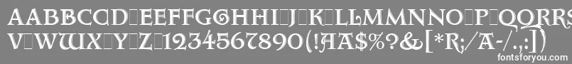 フォントAquitaineInitialsLetPlain.1.0 – 灰色の背景に白い文字