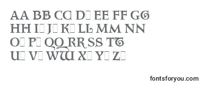 Review of the AquitaineInitialsLetPlain.1.0 Font