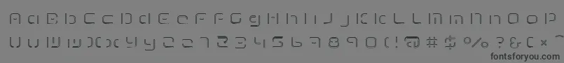 Шрифт TermRegfff – чёрные шрифты на сером фоне