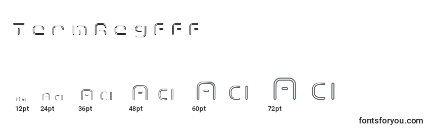 Размеры шрифта TermRegfff