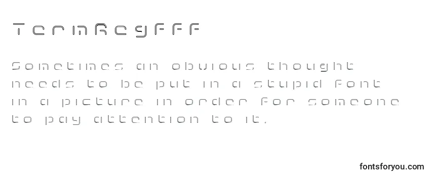 Обзор шрифта TermRegfff