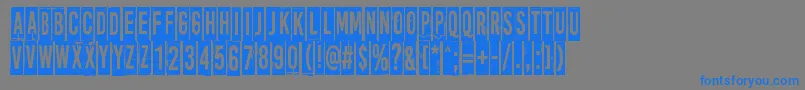 MoreNewsFromNowhere Font – Blue Fonts on Gray Background