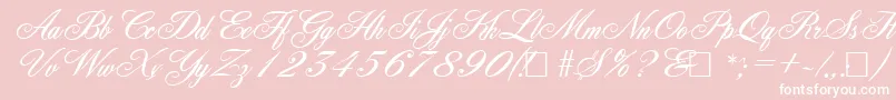 AncestorySf Font – White Fonts on Pink Background