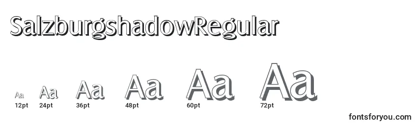 Размеры шрифта SalzburgshadowRegular