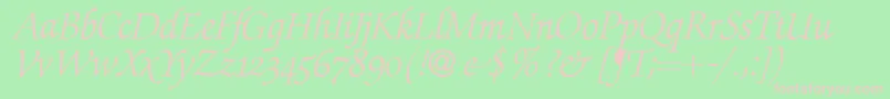 ZabriskiescriptswashItalic Font – Pink Fonts on Green Background