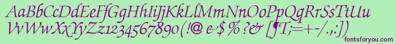 ZabriskiescriptswashItalic Font – Purple Fonts on Green Background