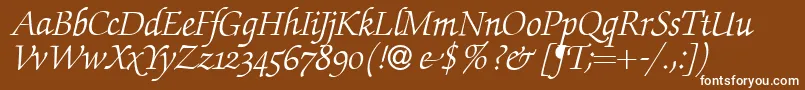 フォントZabriskiescriptswashItalic – 茶色の背景に白い文字