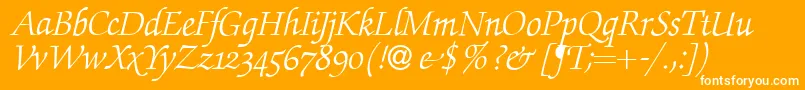 フォントZabriskiescriptswashItalic – オレンジの背景に白い文字