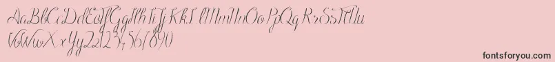 BlackOlivesDemo-Schriftart – Schwarze Schriften auf rosa Hintergrund