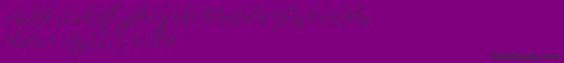 BlackOlivesDemo-Schriftart – Schwarze Schriften auf violettem Hintergrund