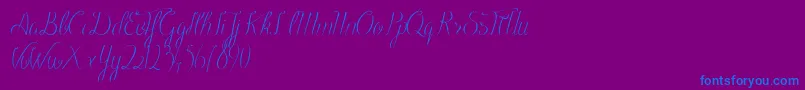 BlackOlivesDemo-Schriftart – Blaue Schriften auf violettem Hintergrund