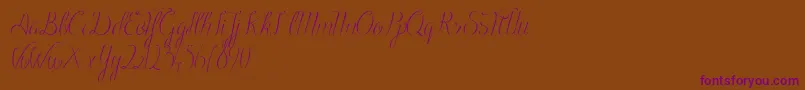 BlackOlivesDemo-Schriftart – Violette Schriften auf braunem Hintergrund