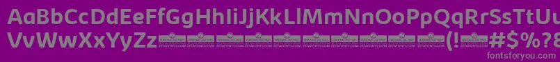 KabrioBoldTrial Font – Gray Fonts on Purple Background