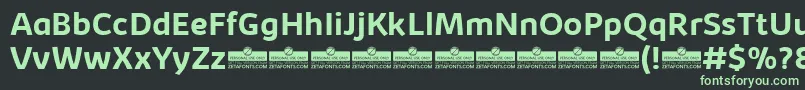 KabrioBoldTrial-fontti – vihreät fontit mustalla taustalla