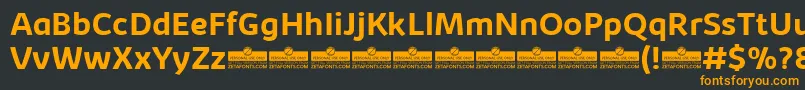 KabrioBoldTrial Font – Orange Fonts on Black Background