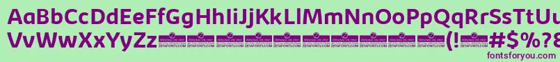 KabrioBoldTrial-fontti – violetit fontit vihreällä taustalla