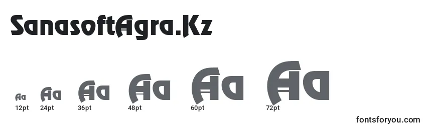 Размеры шрифта SanasoftAgra.Kz