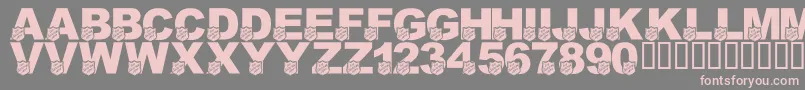 LmsSalvationArmyフォントについての詳細 フォントLmsSalvationArmy – 灰色の背景にピンクのフォント