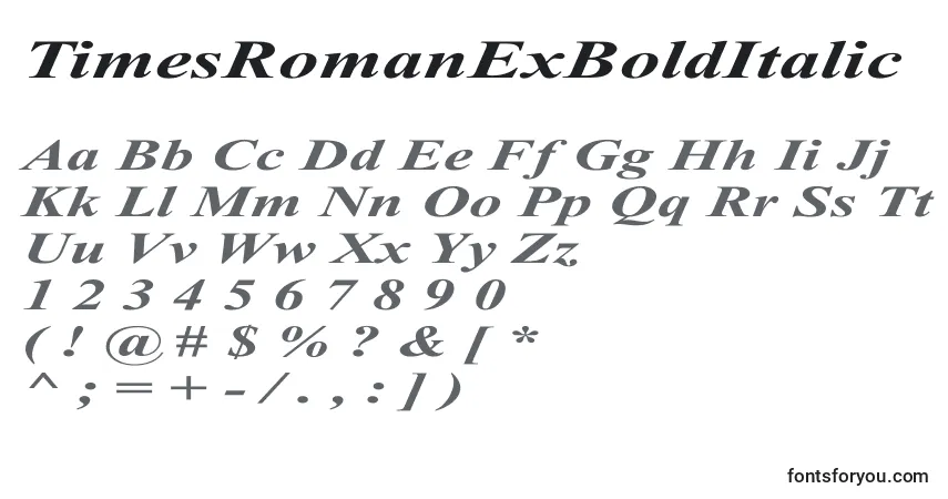 Czcionka TimesRomanExBoldItalic – alfabet, cyfry, specjalne znaki