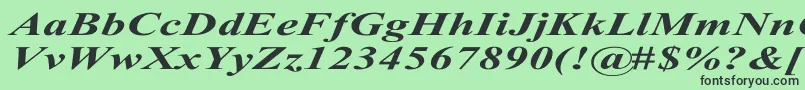 TimesRomanExBoldItalic Font – Black Fonts on Green Background